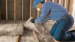 Professional Insulation Services in Roanoke, AL